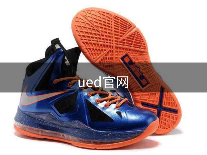 网站概况